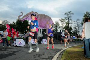 BIB: 
                            <button type="button" onclick="openModal(26529358)" class="btn btn-primary btn-sm float-right btn-popup" data-toggle="modal" data-target=".modal-high-quality">
                        <i class="fas fa-shopping-cart"></i> Add to Cart
                    </button>
                                            <button type="button" onclick="isThisMe(26529358, true)" class="btn btn-success btn-sm float-right btn-popup btn-isme hidden" data-toggle="tooltip" data-placement="bottom" title="นี่คือรูปของคุณใช่ไหม คลิกที่นี่เพื่อเอาเข้าอัลบั้ม">
                        <i class="fas fa-plus"></i> Add to album
                    </button>
                    <button type="button" onclick="isThisMe(26529358, false)" class="btn btn-warning btn-sm float-right btn-popup btn-isnotme hidden">
                        <i class="fas fa-ban"></i> Remove from album
                    </button>